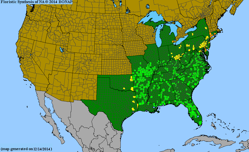 County distribution map of Phaseolus polystachios - Thicket Bean